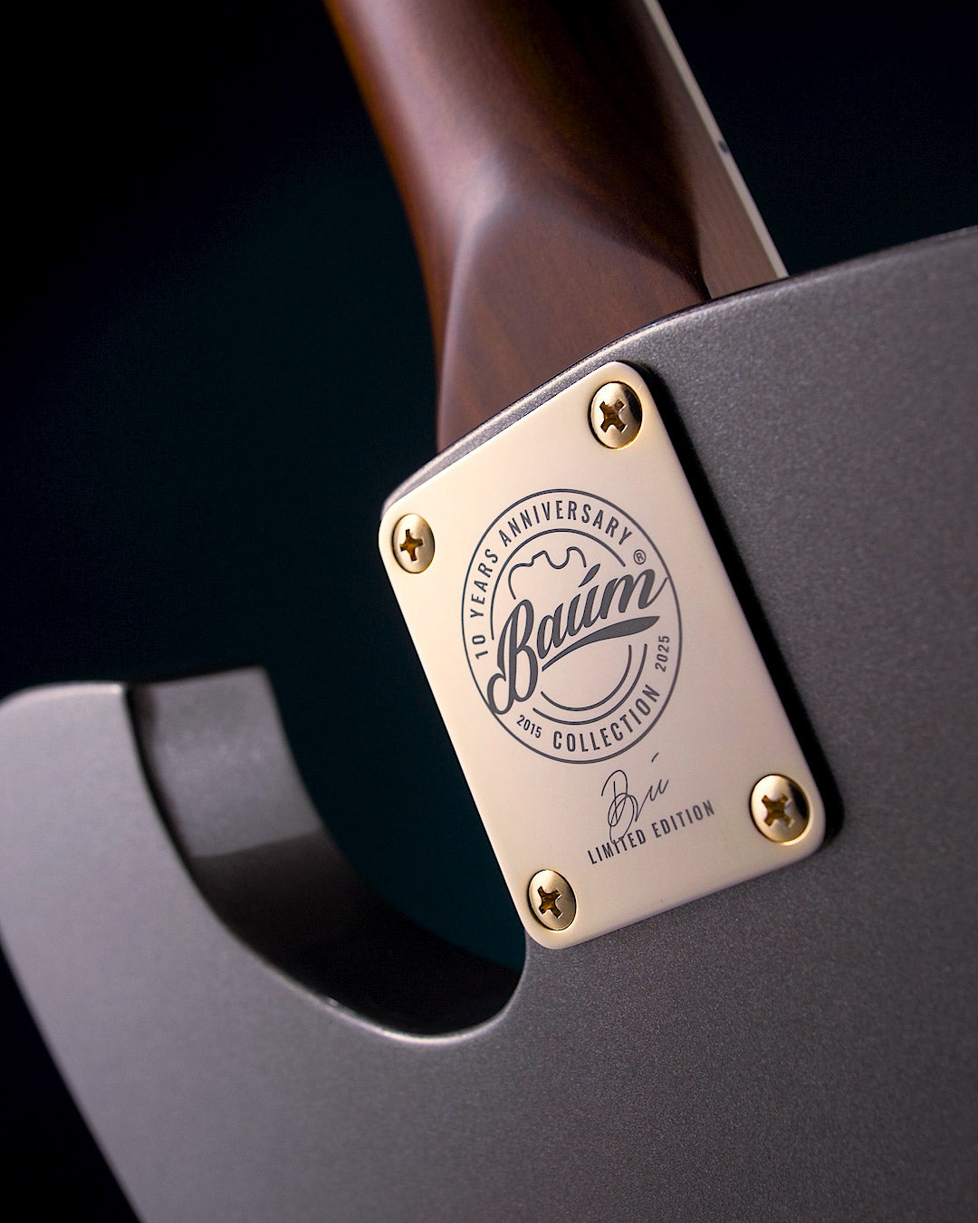 neck plate on a bolt-on electric guitar