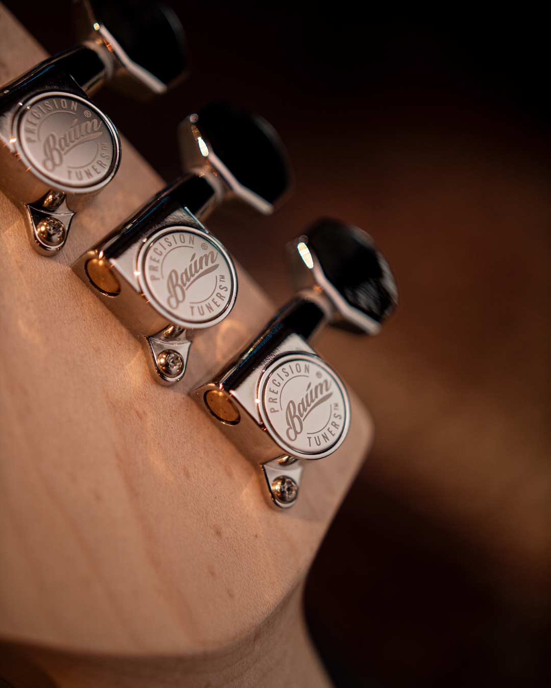 VEGA Wingman - Glacier Blue - Baum Guitars