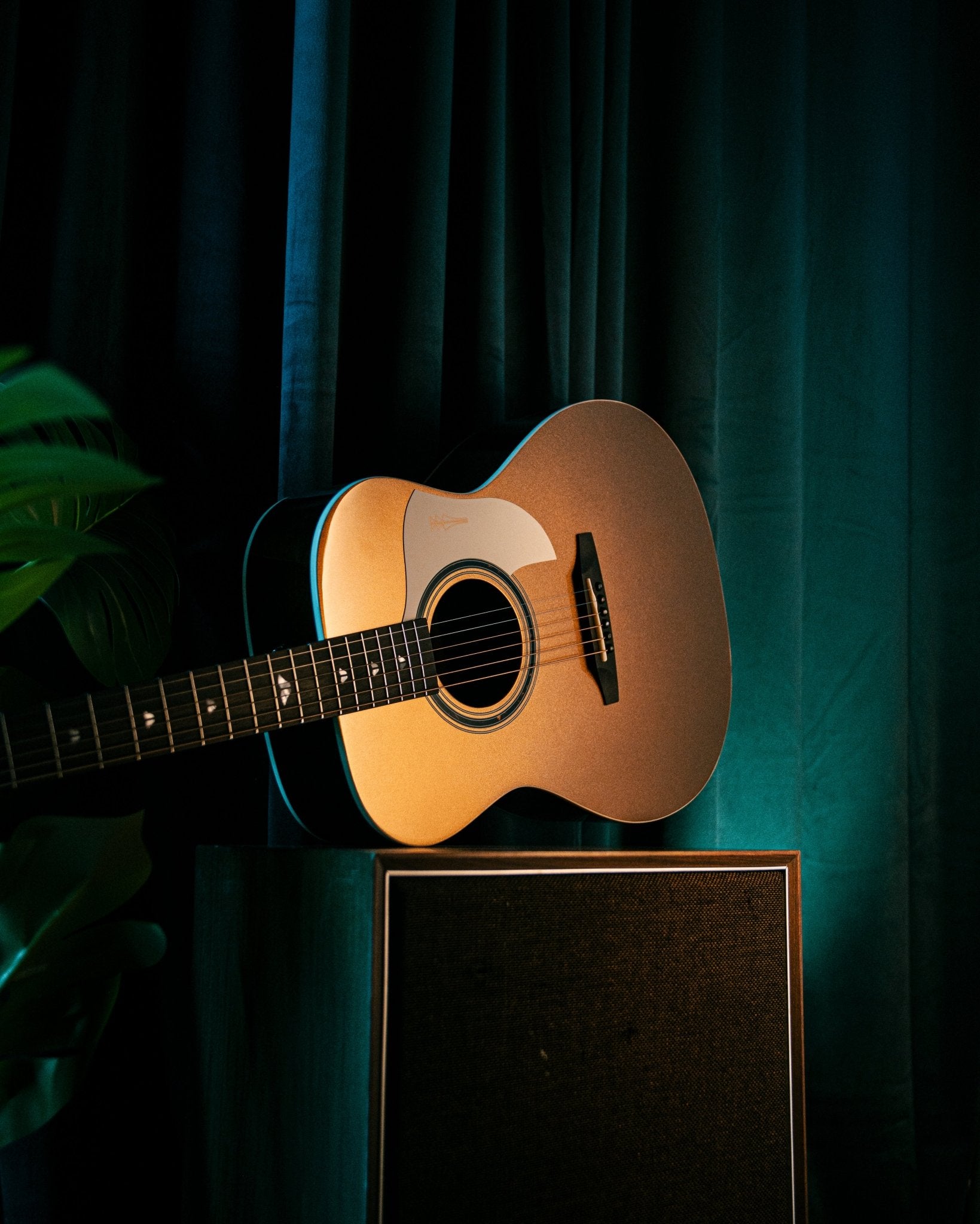 Leaper Melody VEGA - Inca Gold - Baum Guitars