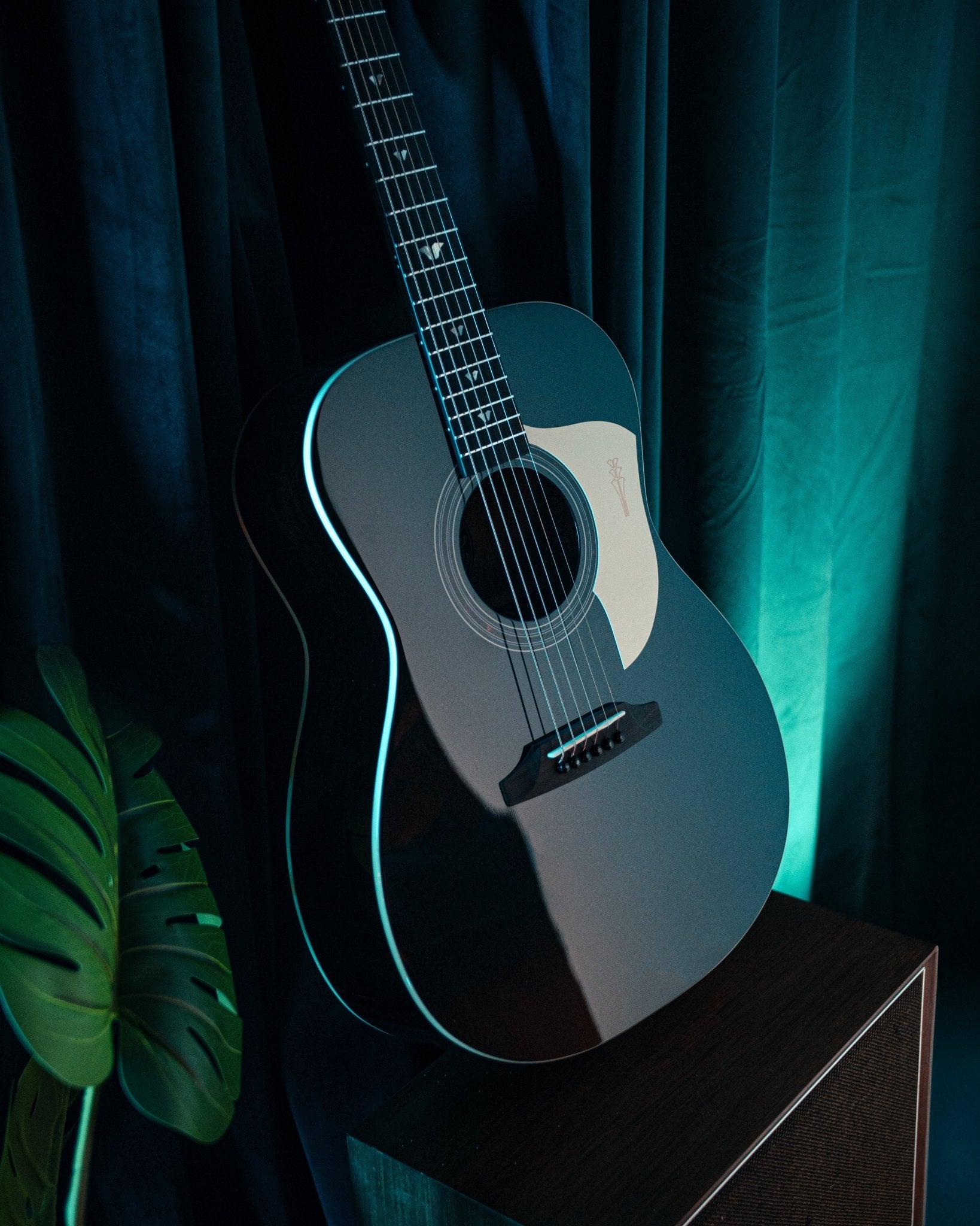 Leaper Melody VEGA - Pearl Black - Baum Guitars