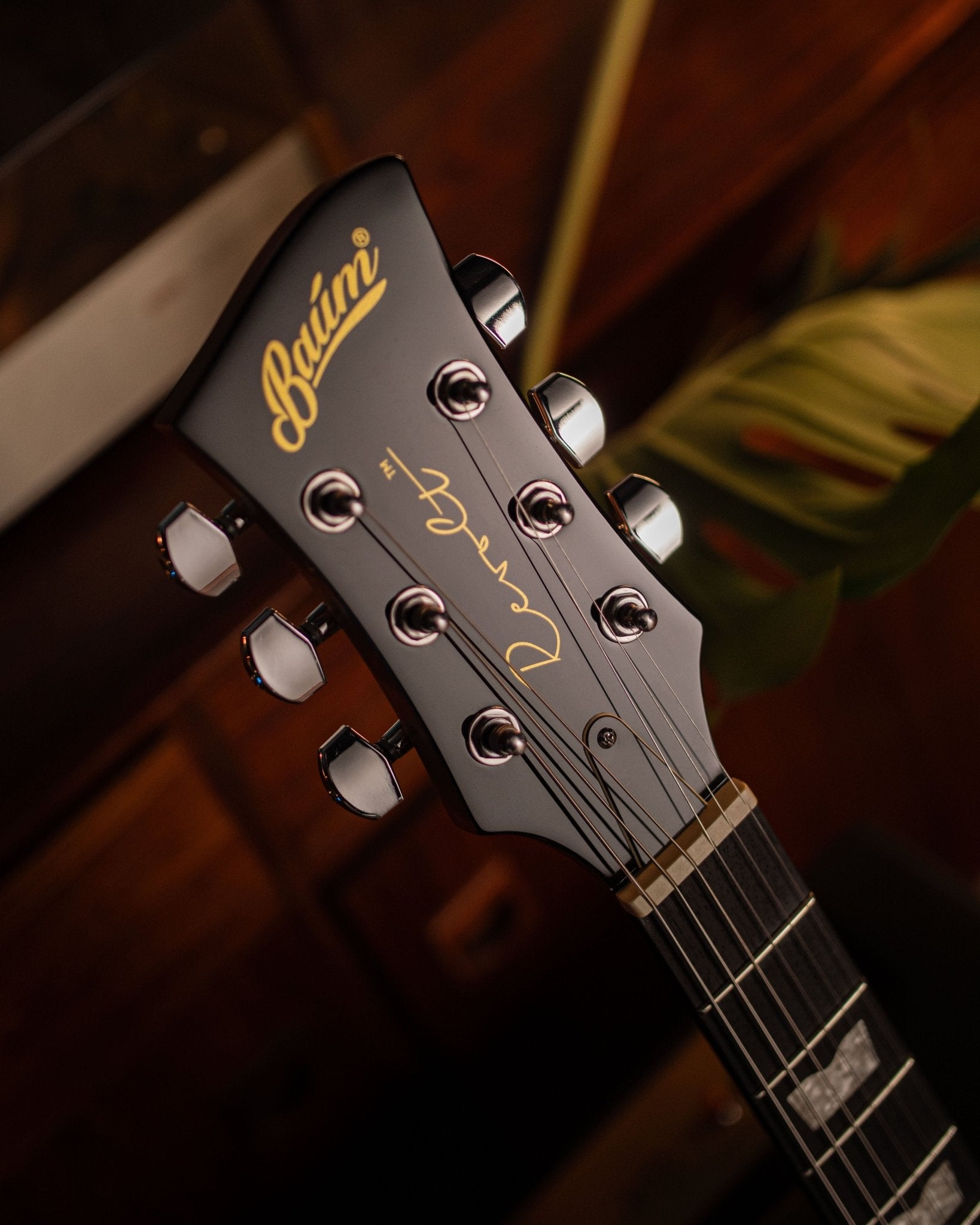 Revolt - Pure Black - Baum Guitars