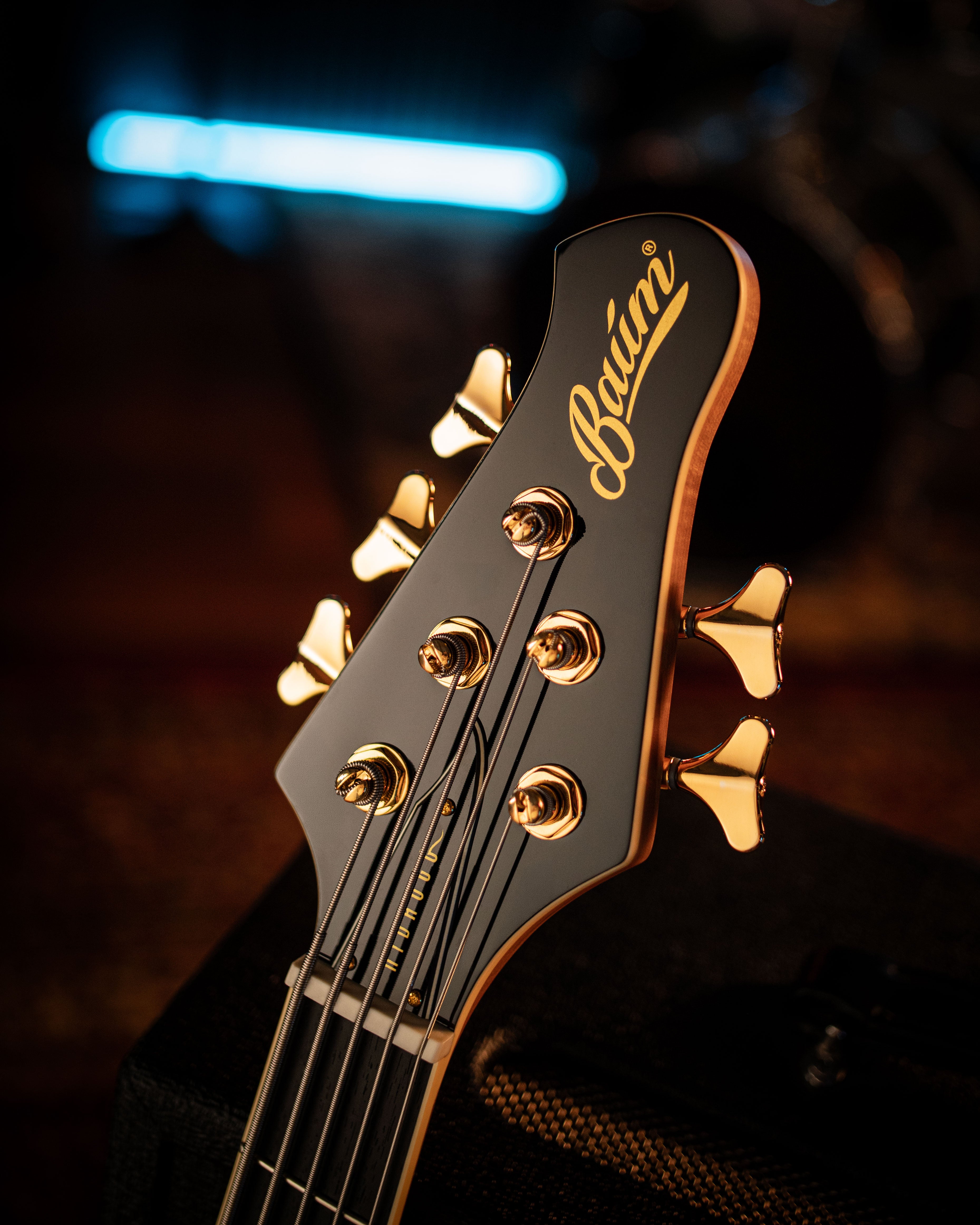 Nidhogg Bass 5-String - Pure Black