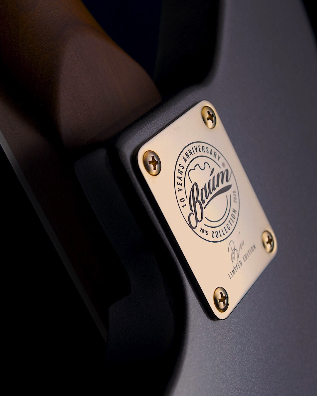Thunder Bass guitar bolt-on neckplate
