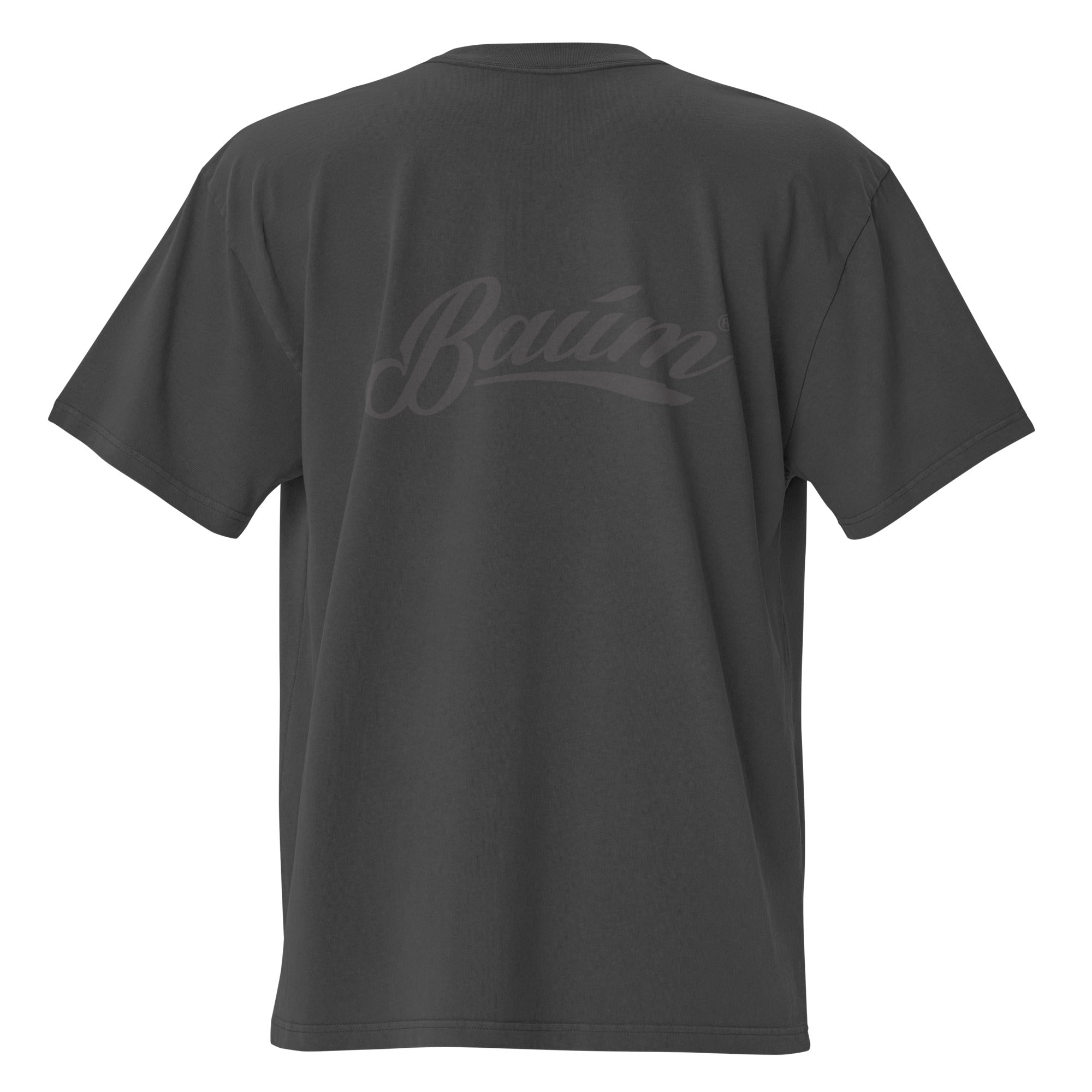 Box Fit Faded T-shirt - Baum Guitars