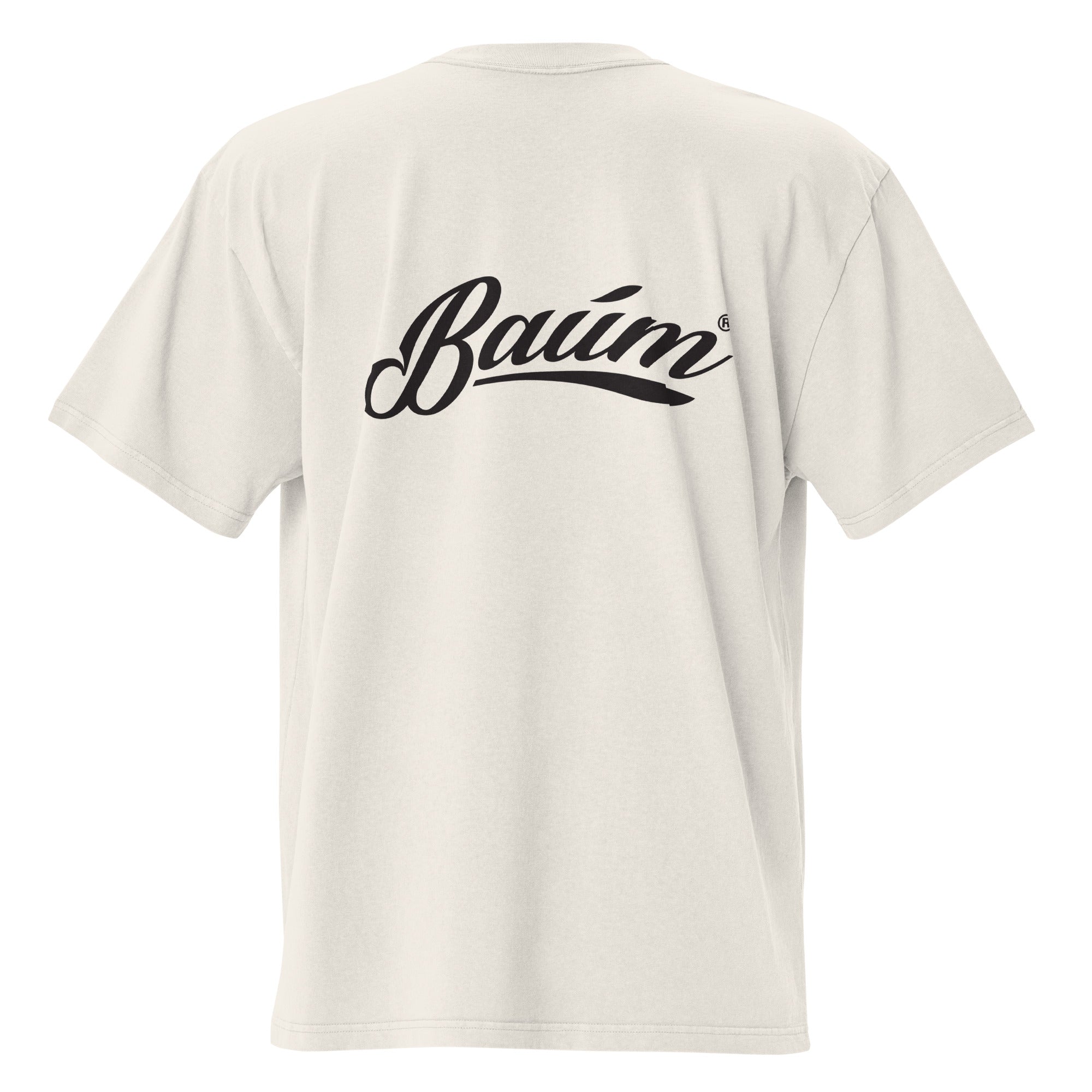 Box Fit Faded T-shirt - Baum Guitars