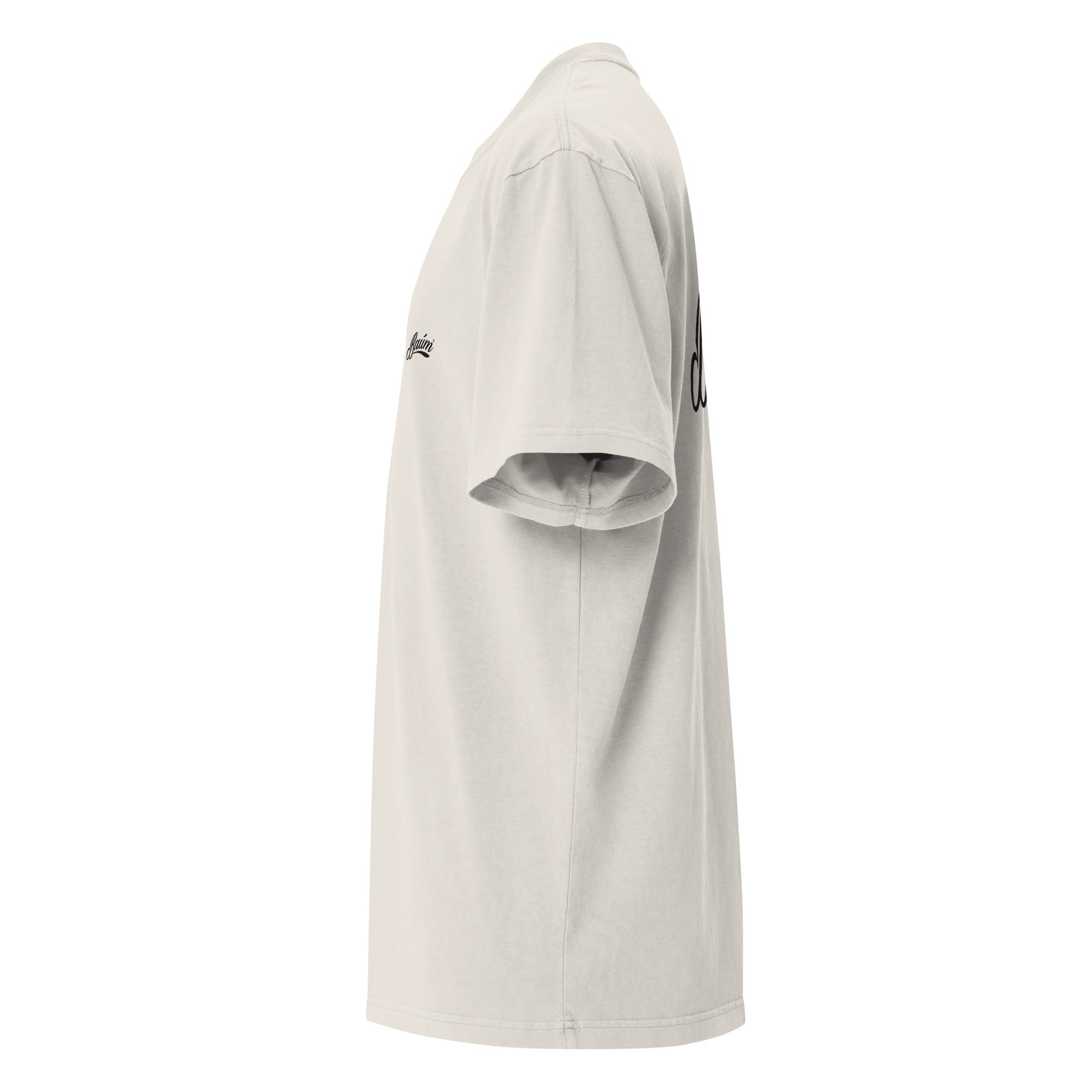 Box Fit Faded T-shirt - Baum Guitars