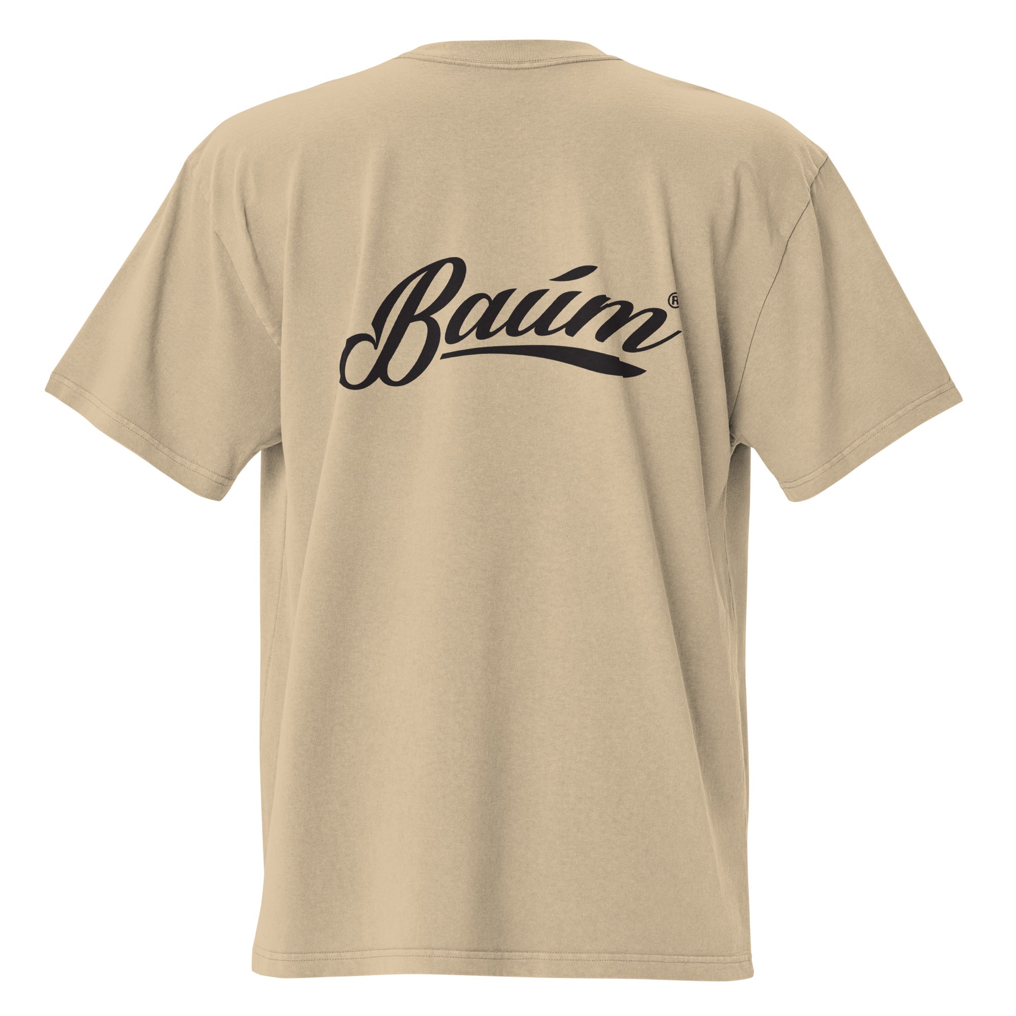 Box Fit Faded T-shirt - Baum Guitars