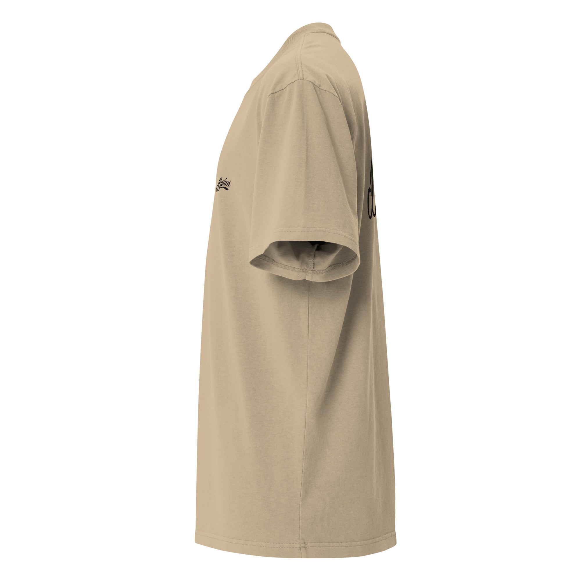 Box Fit Faded T-shirt - Baum Guitars