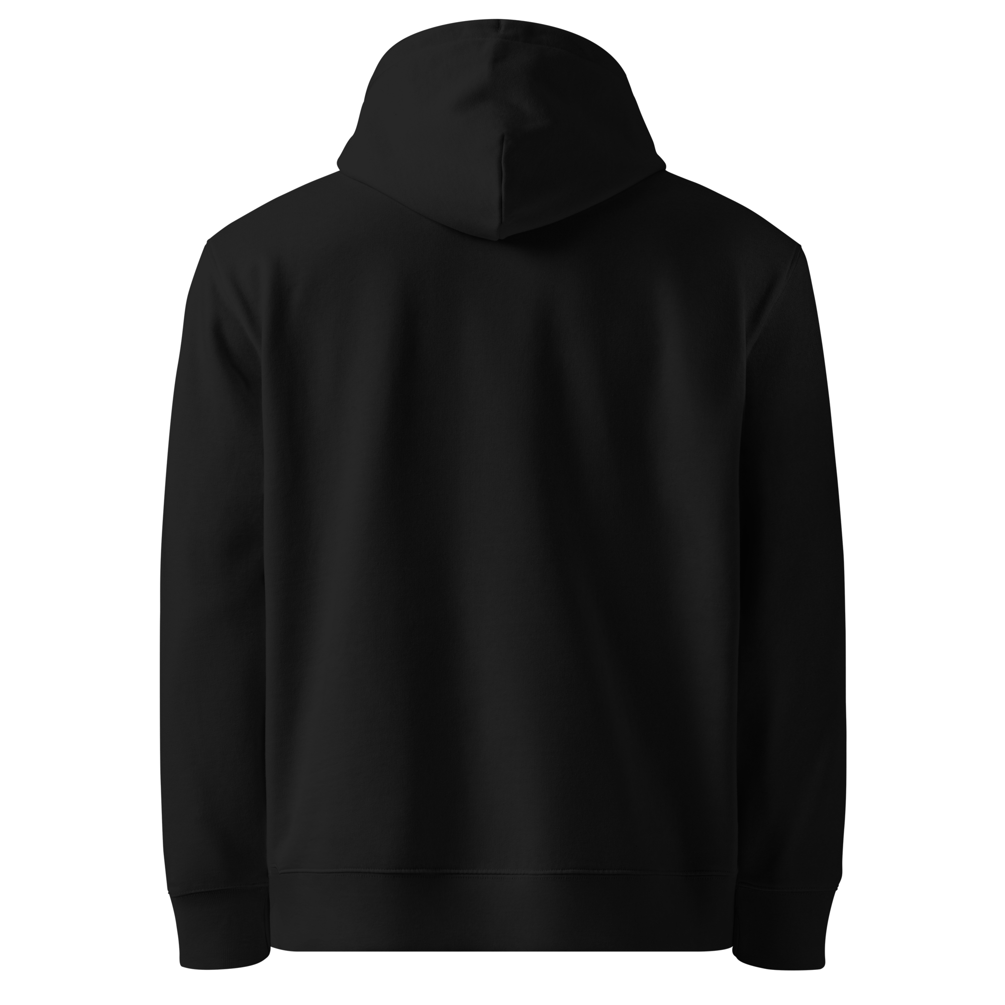 Original Baum Eco Hoodie - Baum Guitars