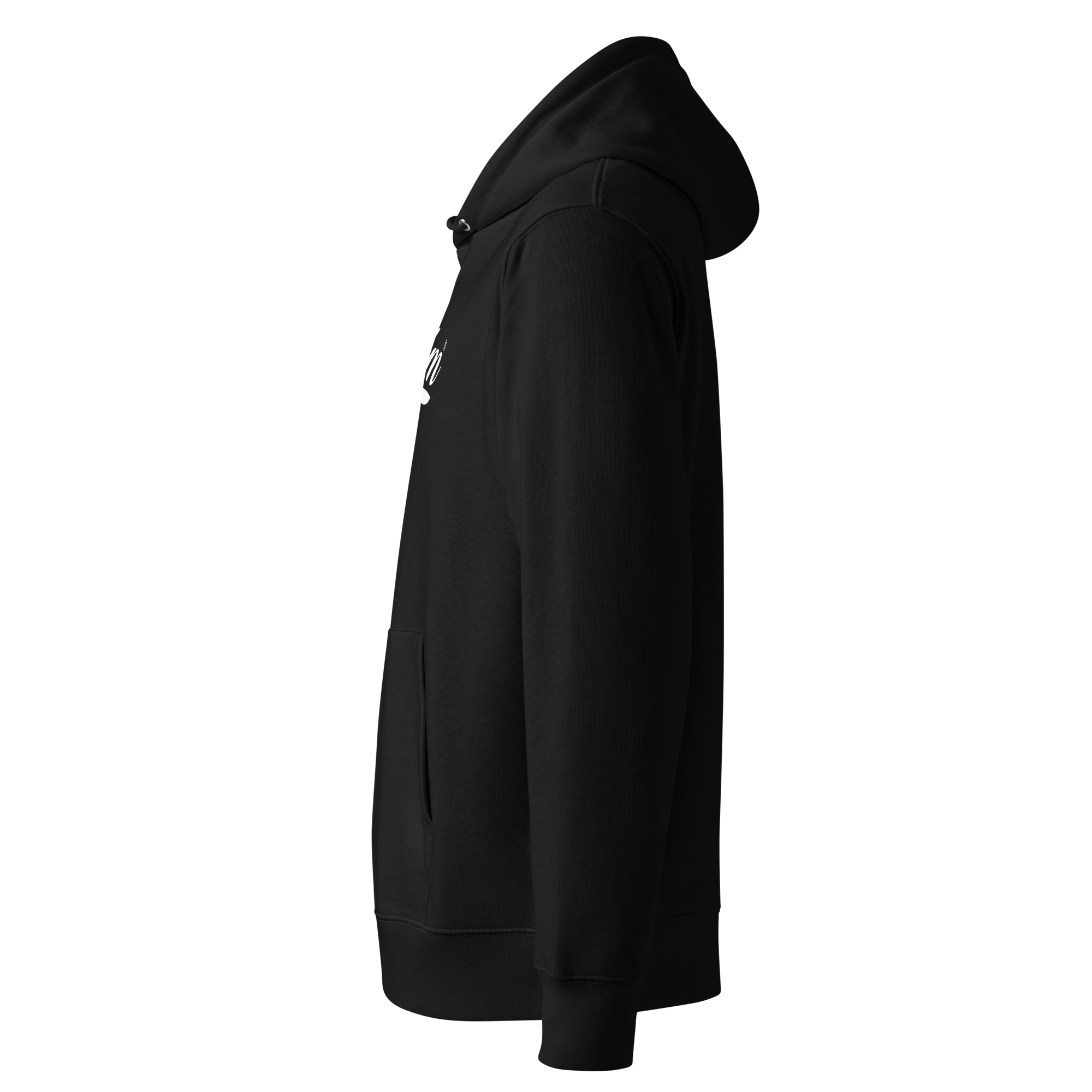 Original Baum Eco Hoodie - Baum Guitars