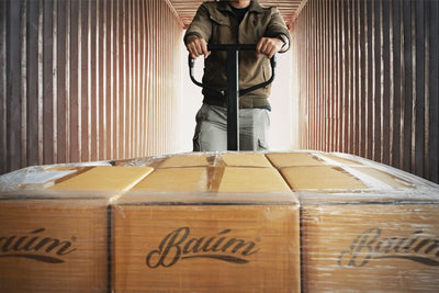 09 - Baum Guitar Shipping to Denmark: From Factory to Workshop - Baum Guitars