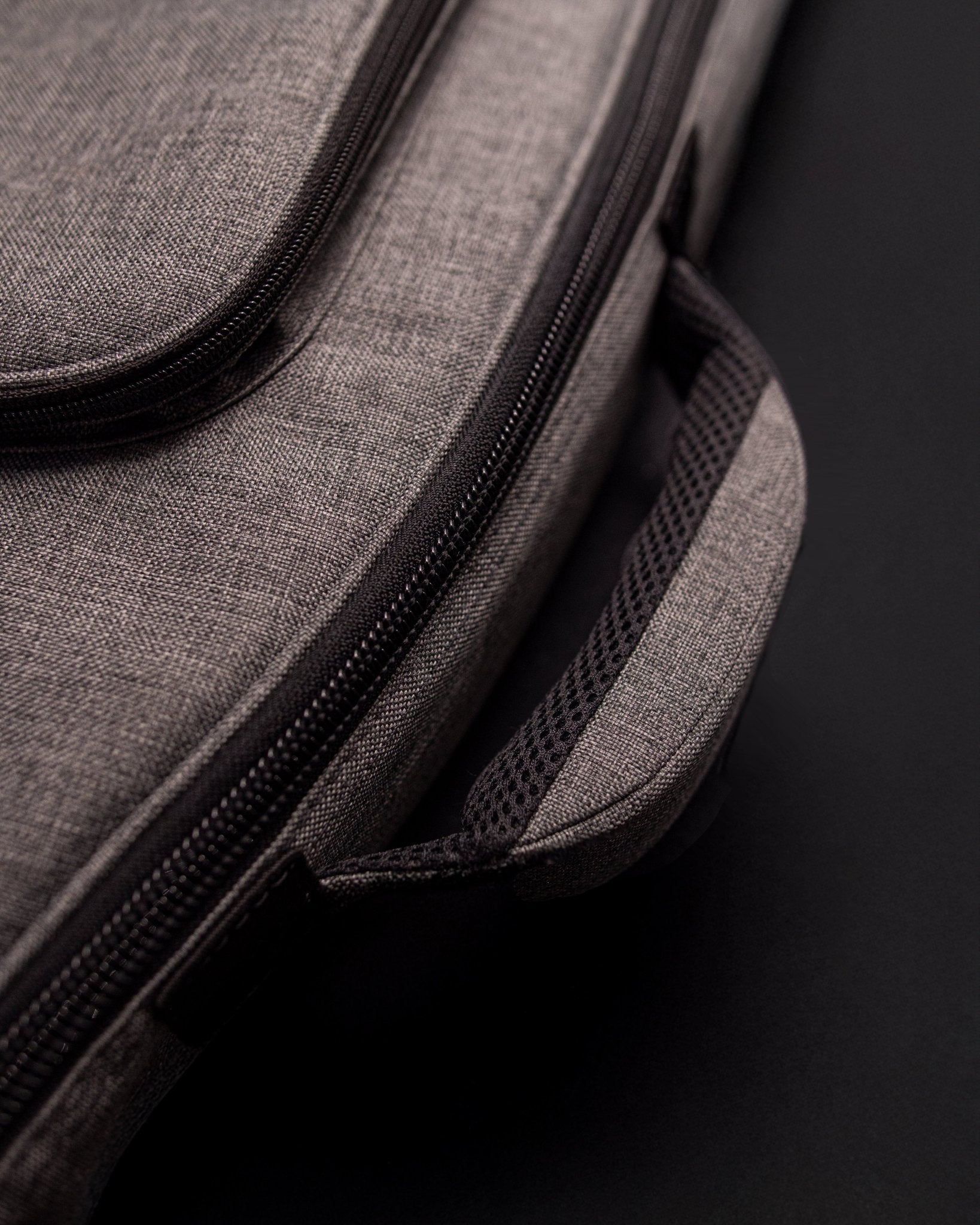 Baum Original Gigbag - Baum Guitars