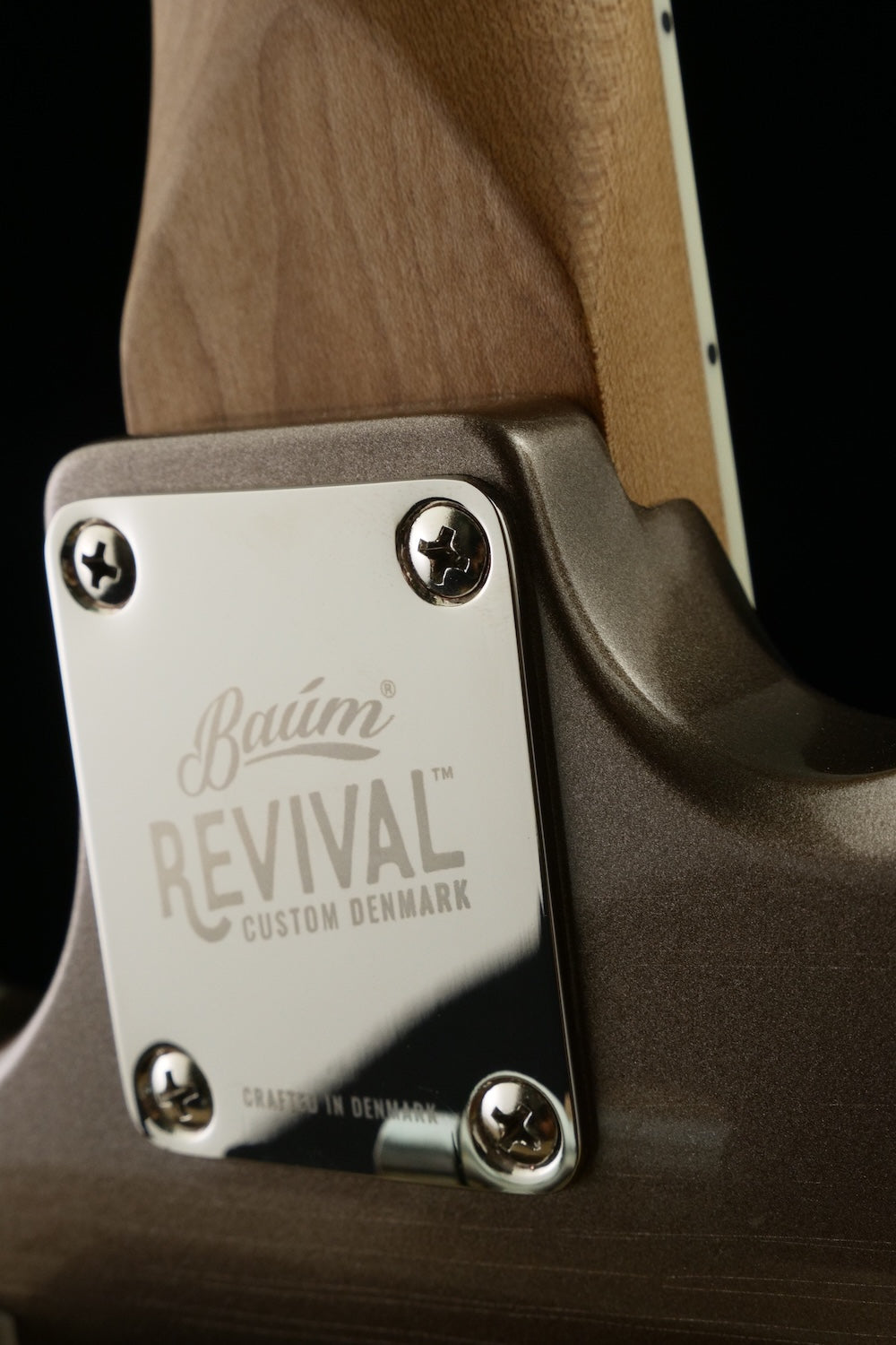 Revival #53 Carve - Mojave Grey metallic | Custom Shop