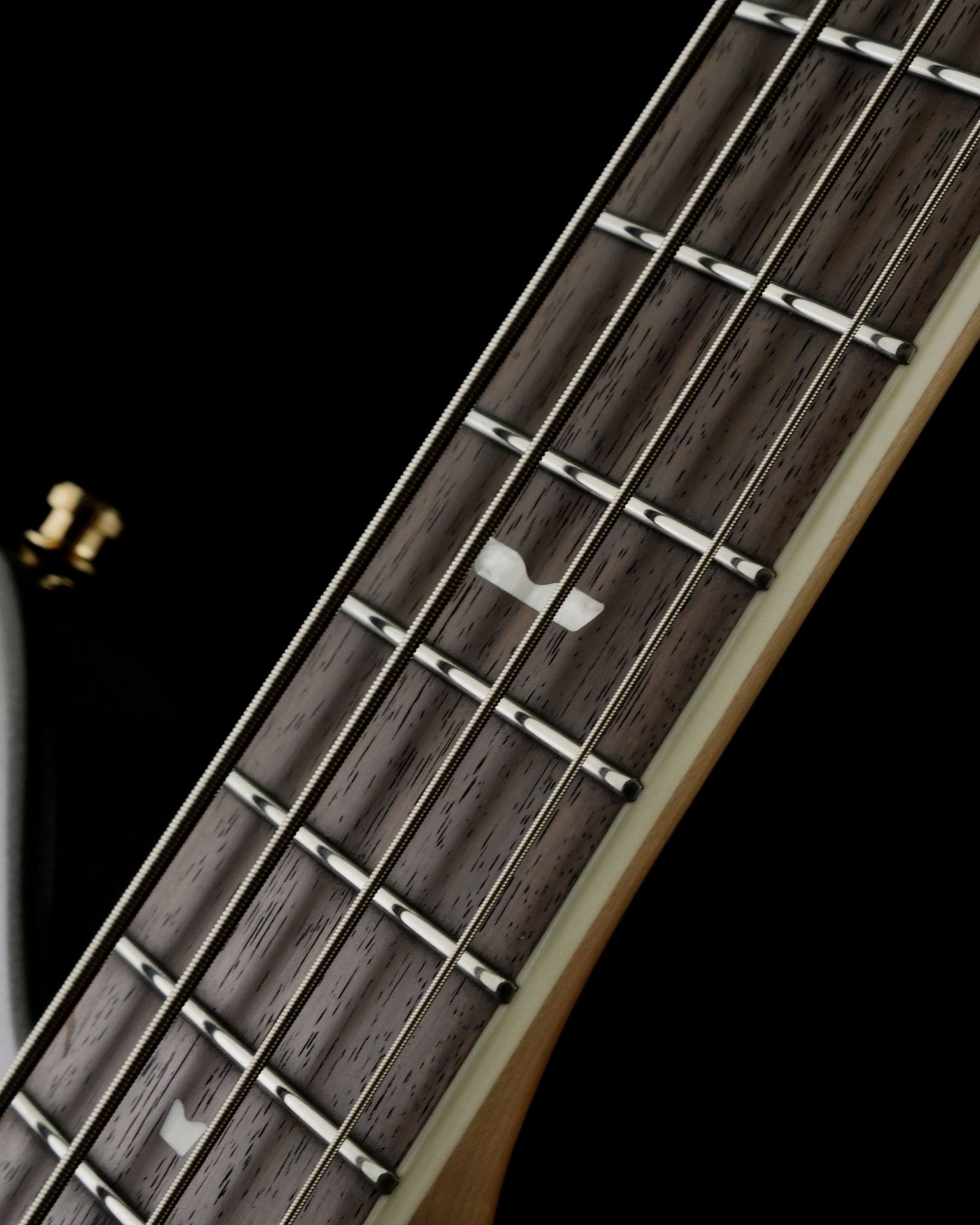10th Anniversary Thunder Bass - Baum Guitars