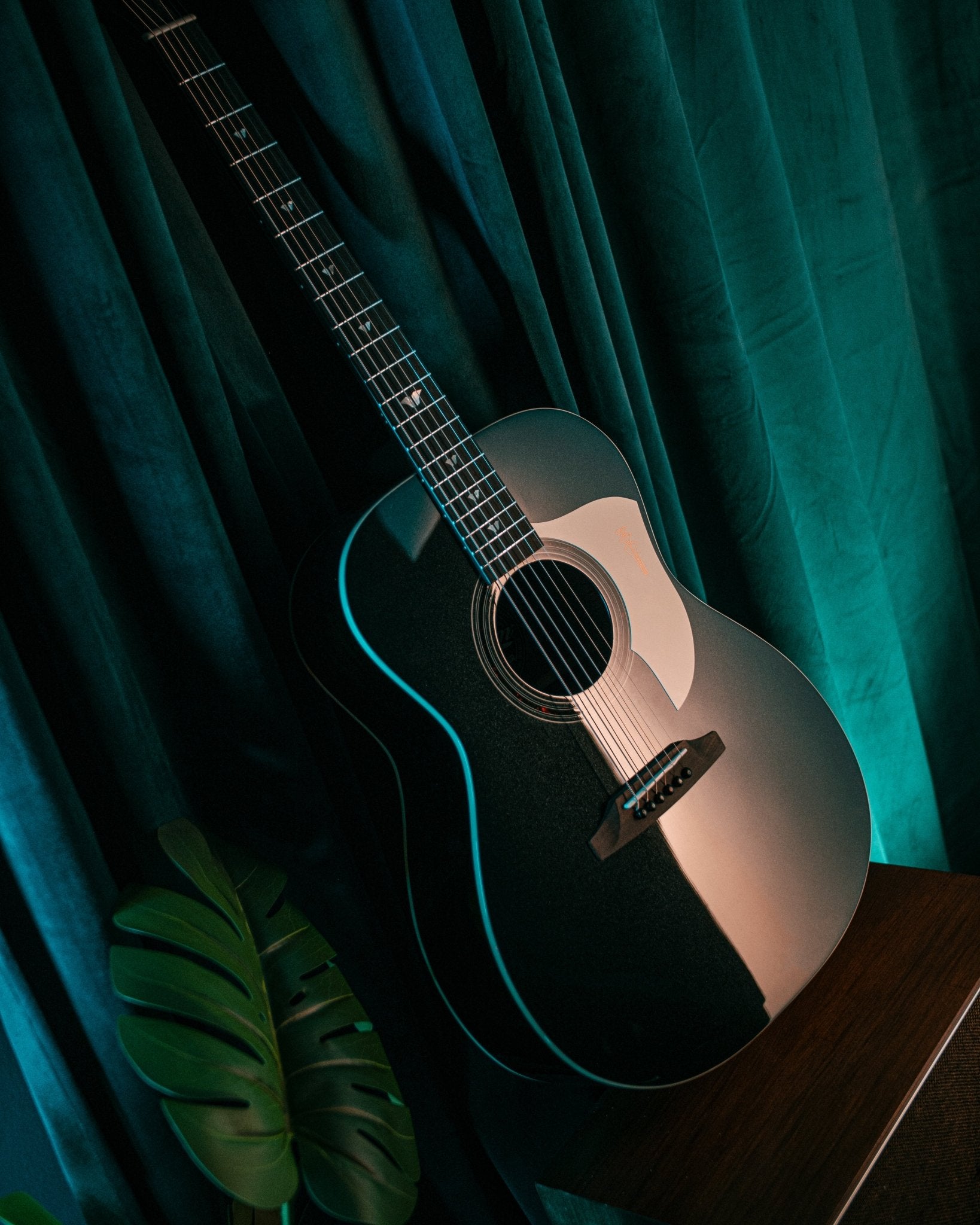 Leaper Melody VEGA - Pearl Black - Baum Guitars