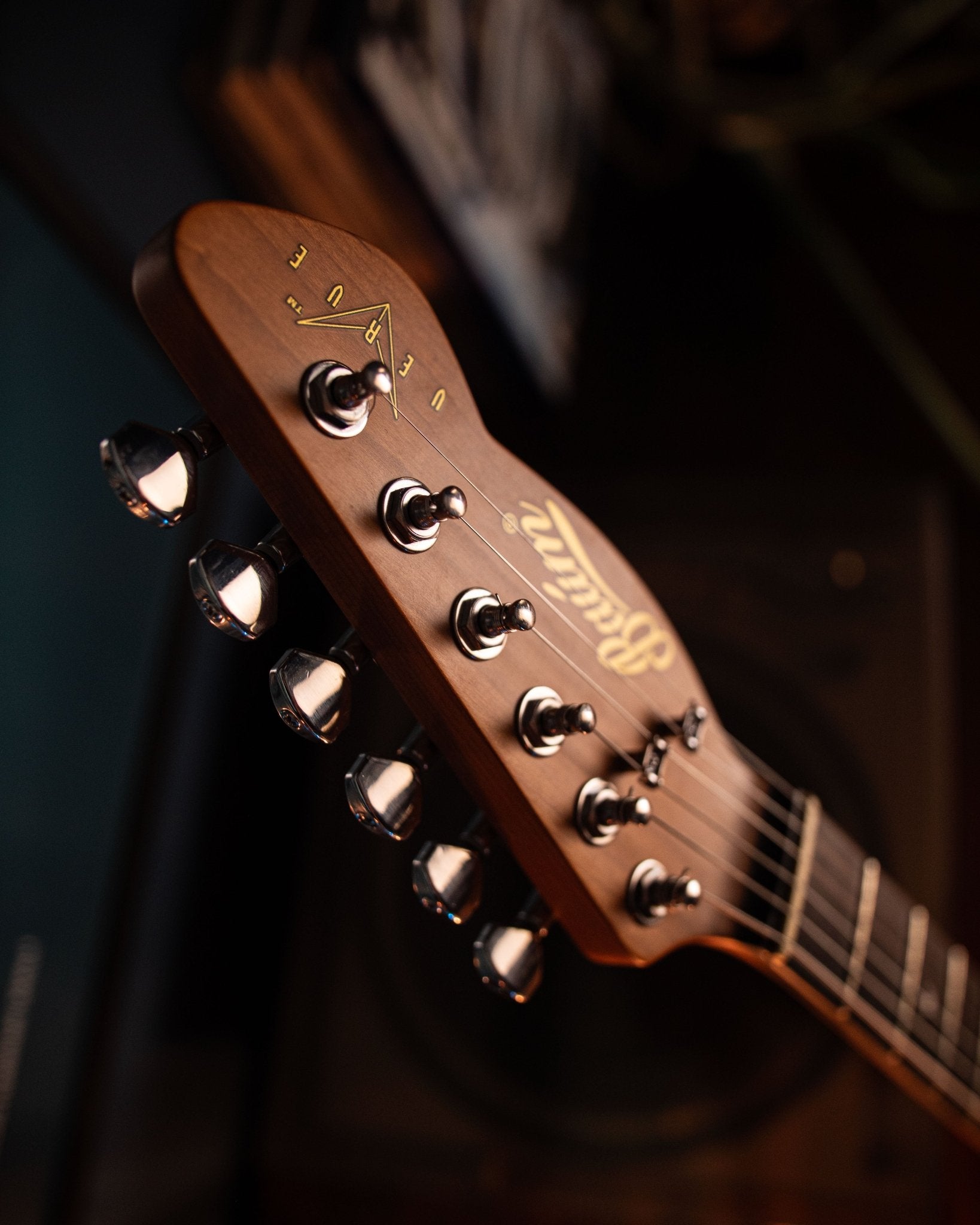 Verve - Moon Silver - Baum Guitars