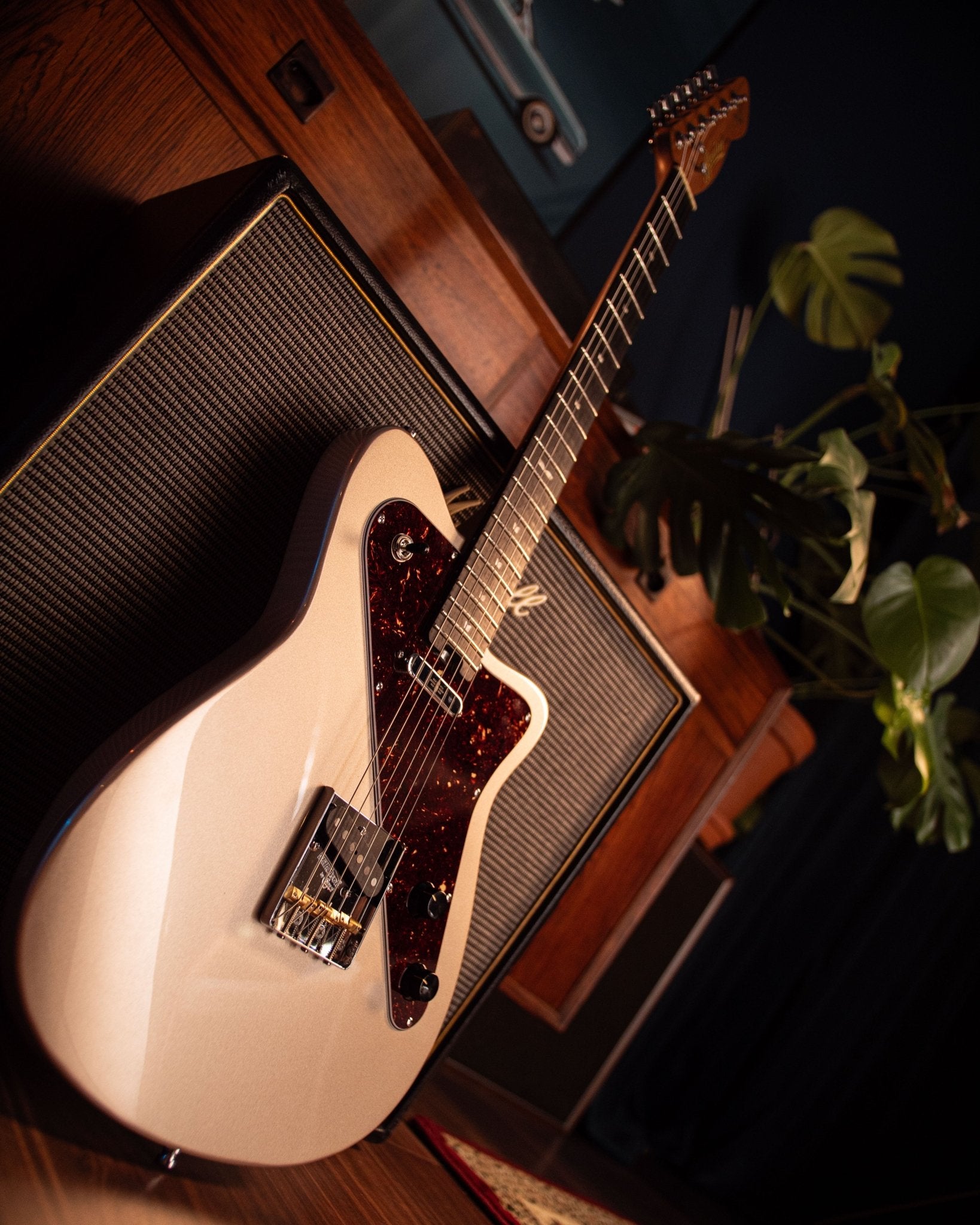 Verve - Moon Silver - Baum Guitars