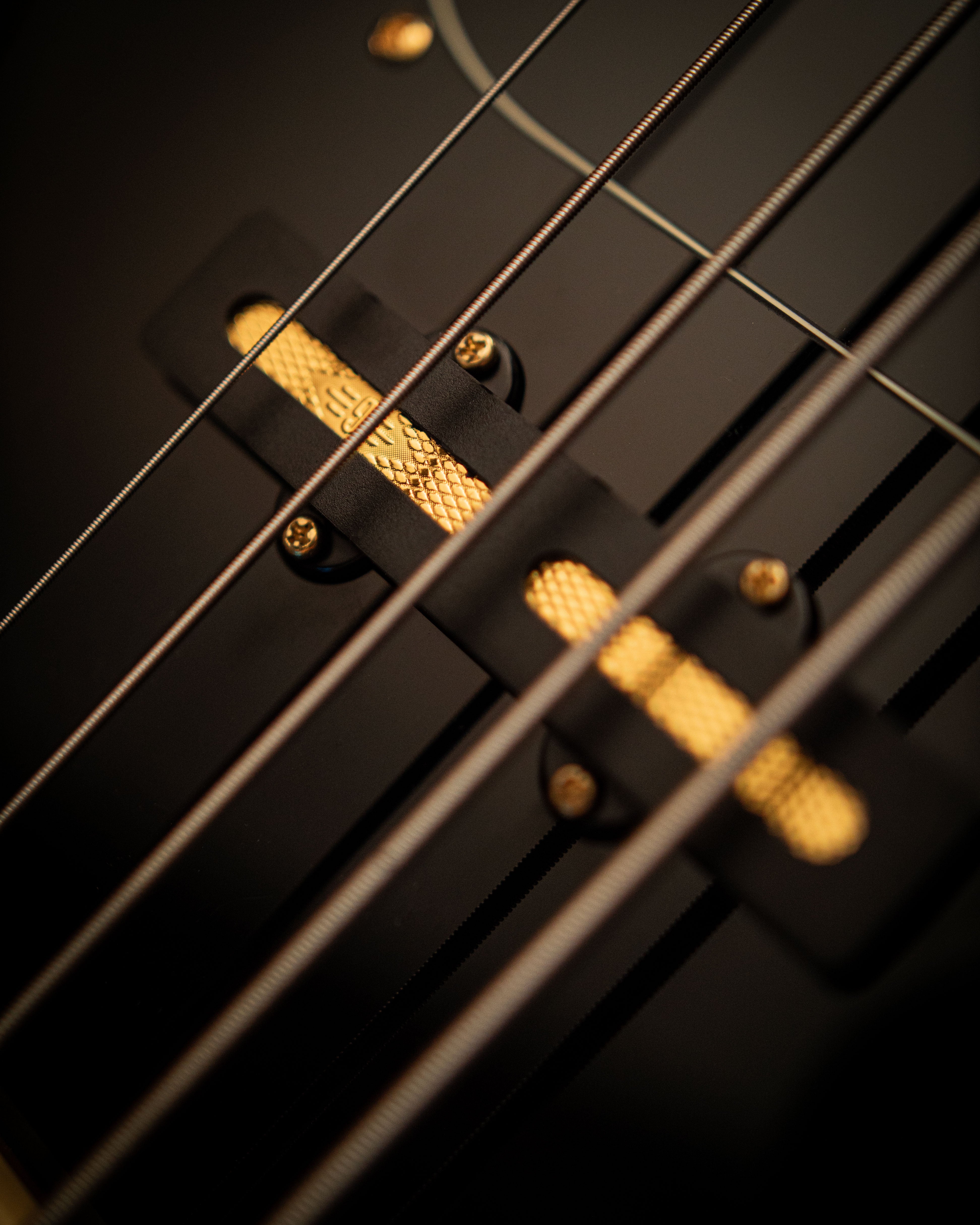 Nidhogg Bass 5-String - Pure Black